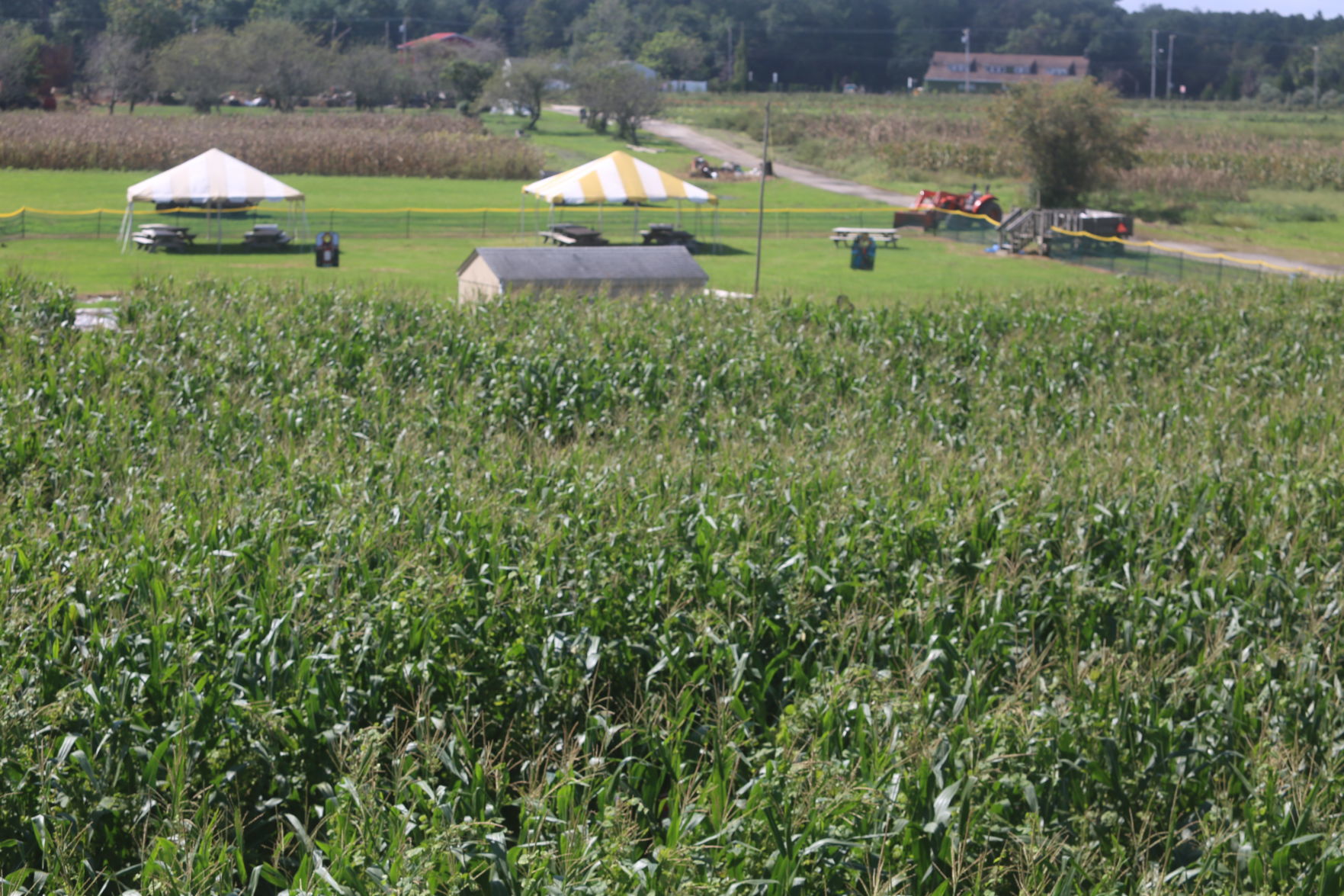 Butterhofs shady brook farm (3).JPG